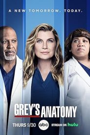 Greys Anatomy Season 20 (2024)